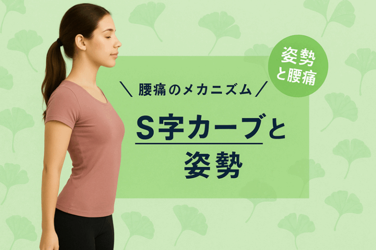 腰痛のメカニズム S字カーブと姿勢