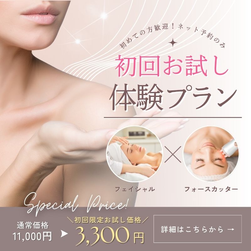 初回お試し体験プラン 11,000円→3,300円