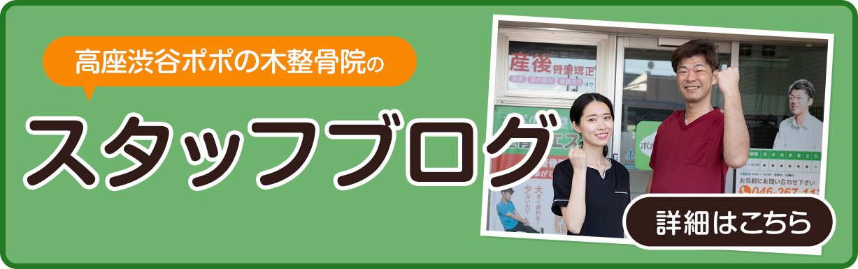 スタッフブログ