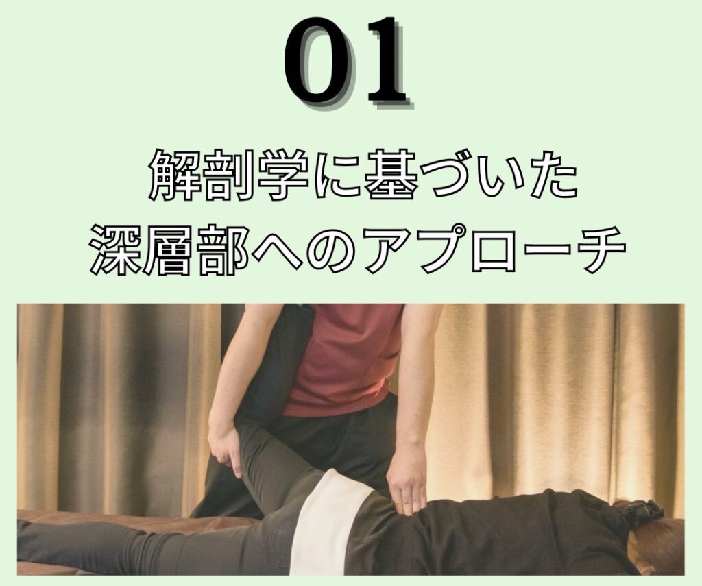 解剖学アプローチ