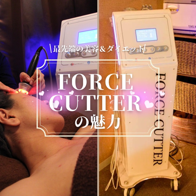 FORCE CUTTERの魅力