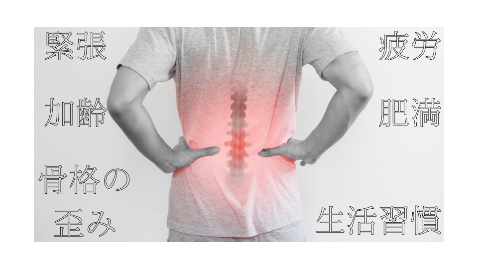 腰痛の原因には緊張、加齢、骨格の歪み、疲労、肥満、生活習慣