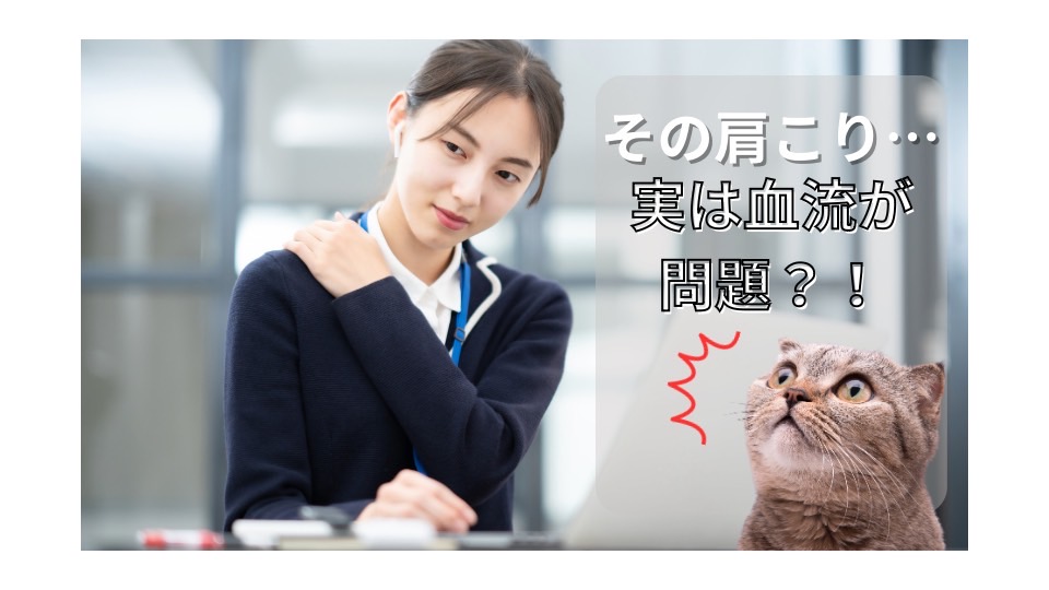 肩こりの血流と筋肉の関係