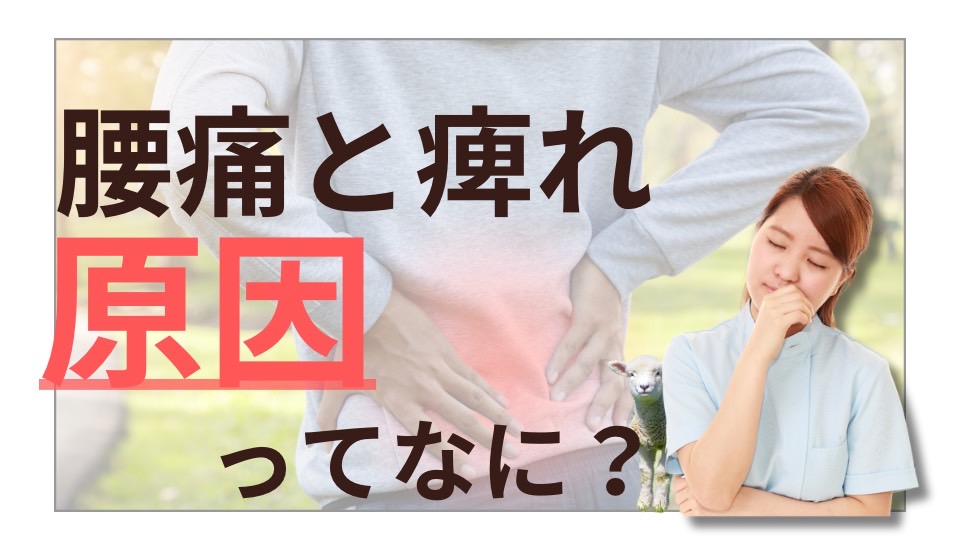 腰痛と痺れの原因ってなに？