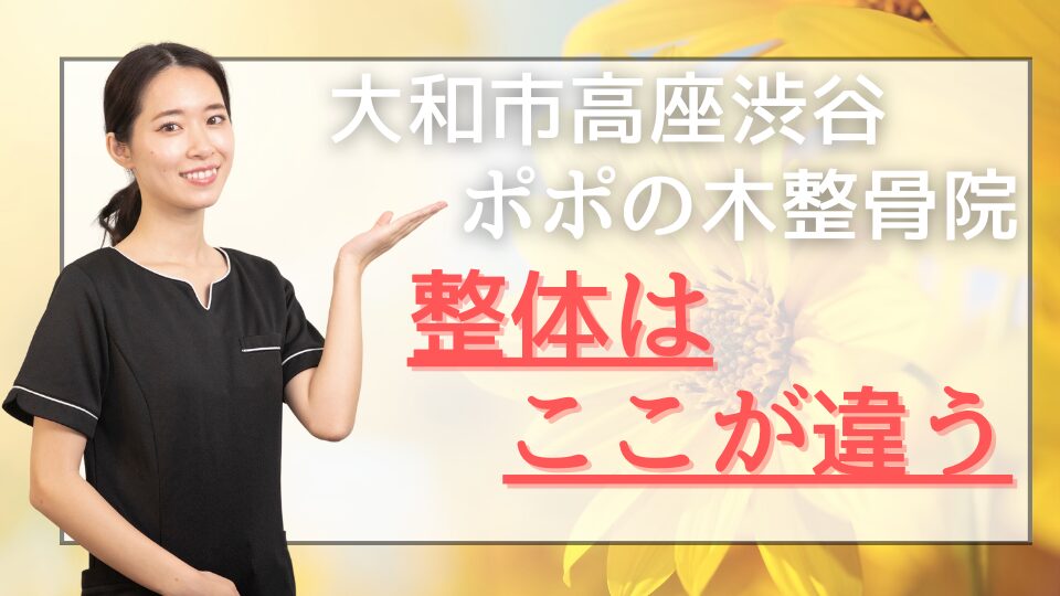 大和市高座渋谷ポポの木整骨院の整体はここが違う