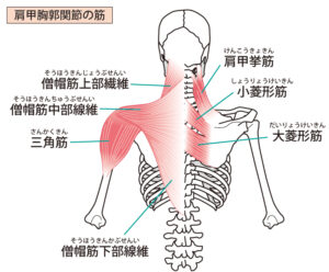 高座渋谷肩こり画像