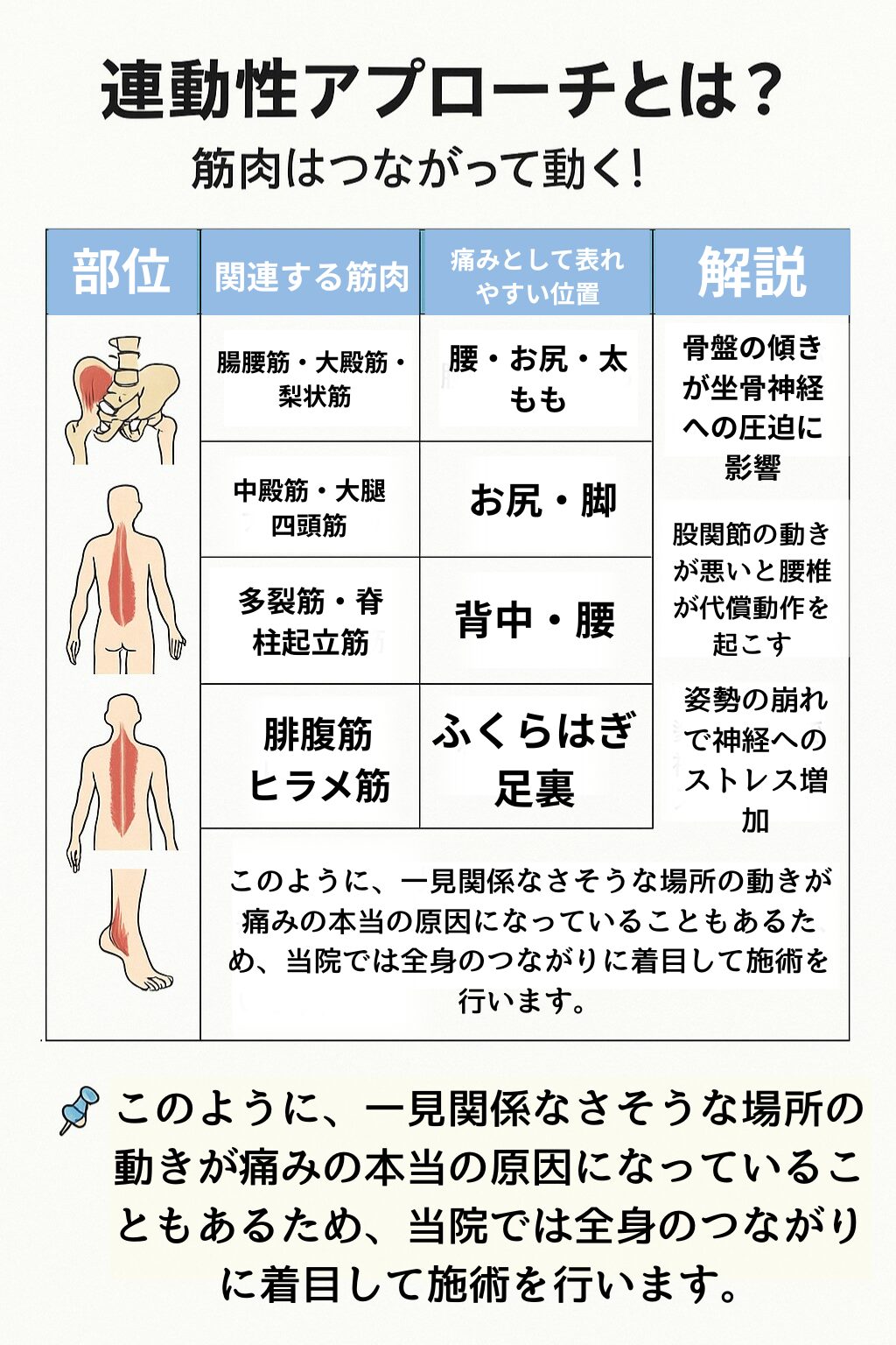 大和市　整骨院　座骨神経痛　連動性アプローチ