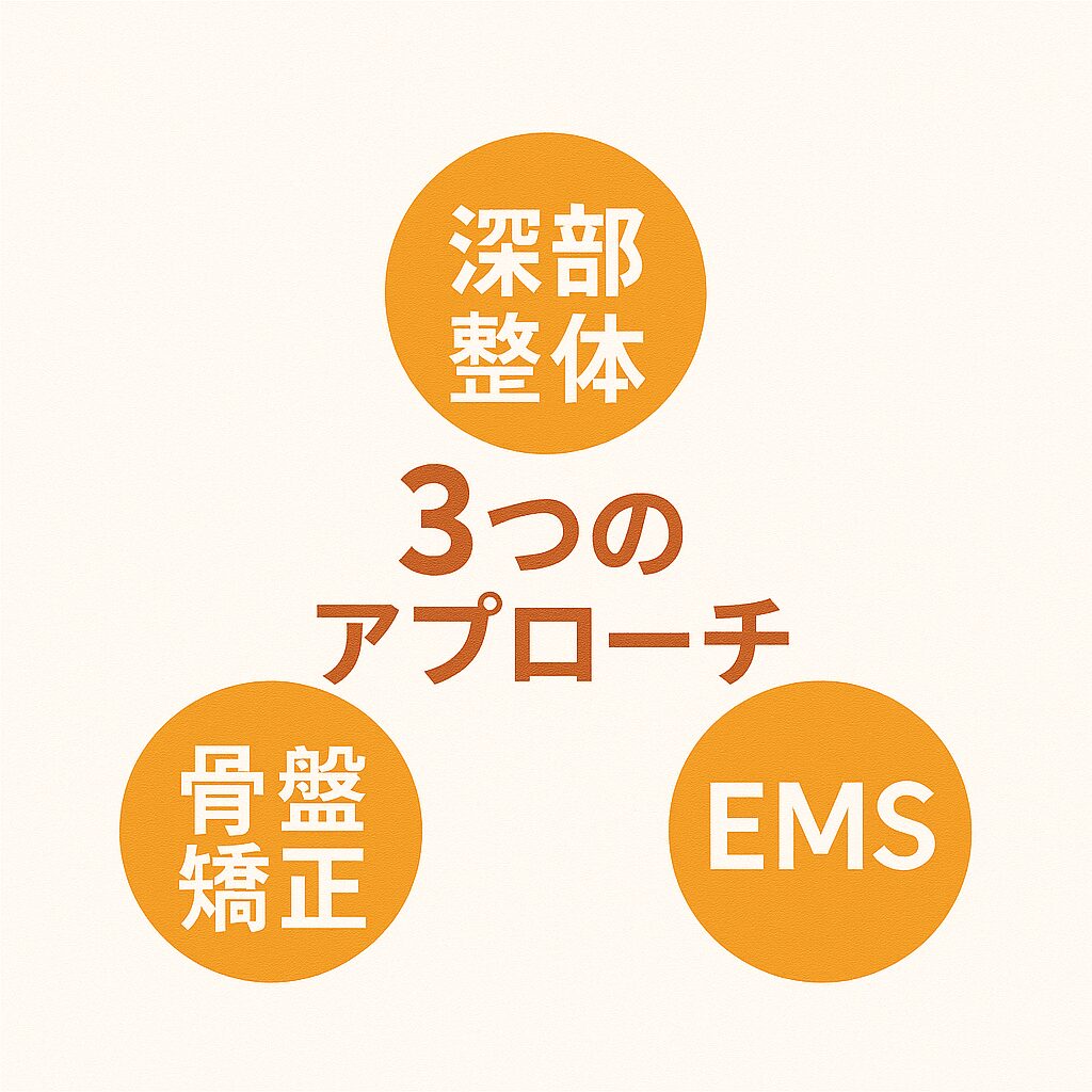 ポポの木の３つのアプローチ