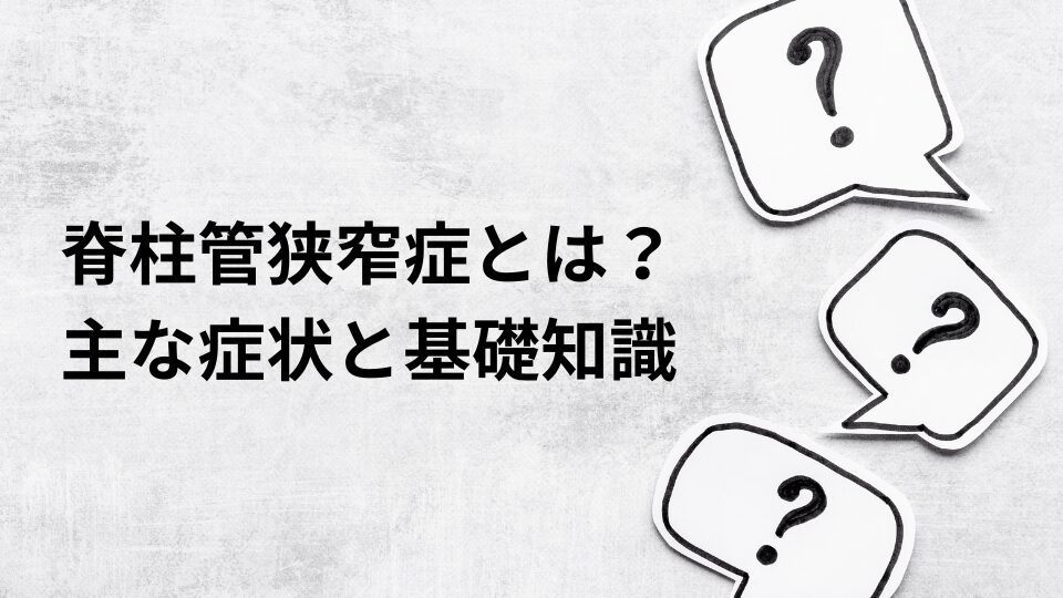 大和市 高座渋谷 整骨院 脊柱管狭窄症とは?主な症状と基礎知識 イメージ画像