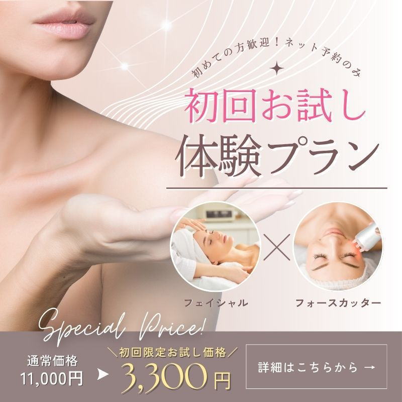 初回お試し体験プラン