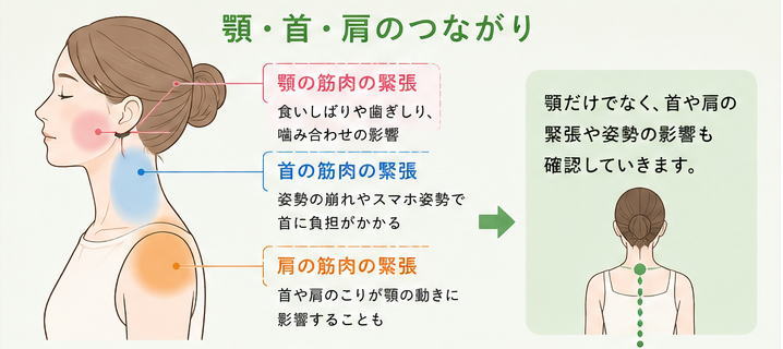 顎だけでなく首肩も確認する方針を伝える
