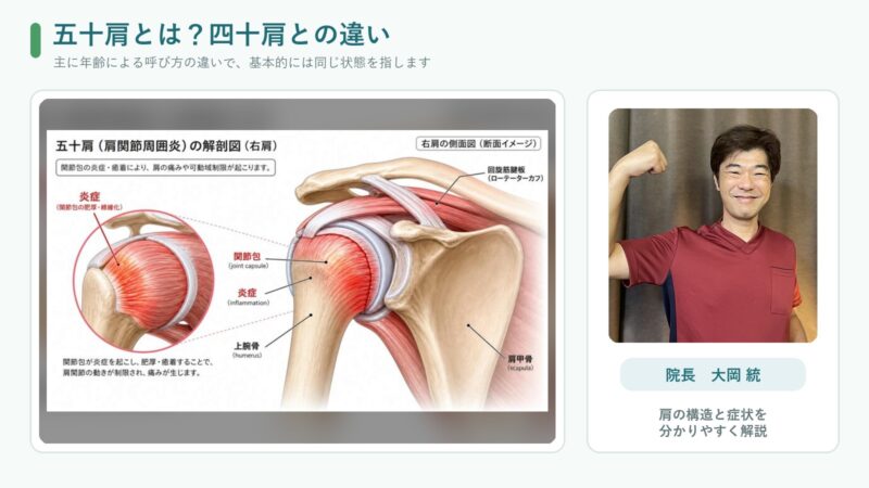 四十肩と五十肩の違いを説明する肩関節図と院長