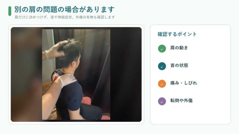 当院で首と肩の状態を確認している検査の様子