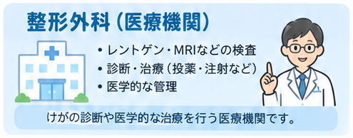 整形外科で確認できること